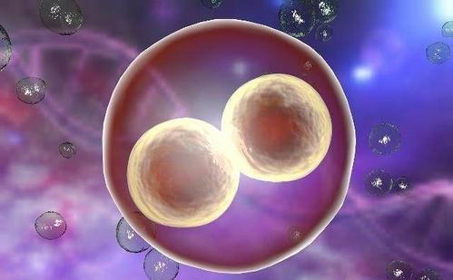 璟华生殖医学中心